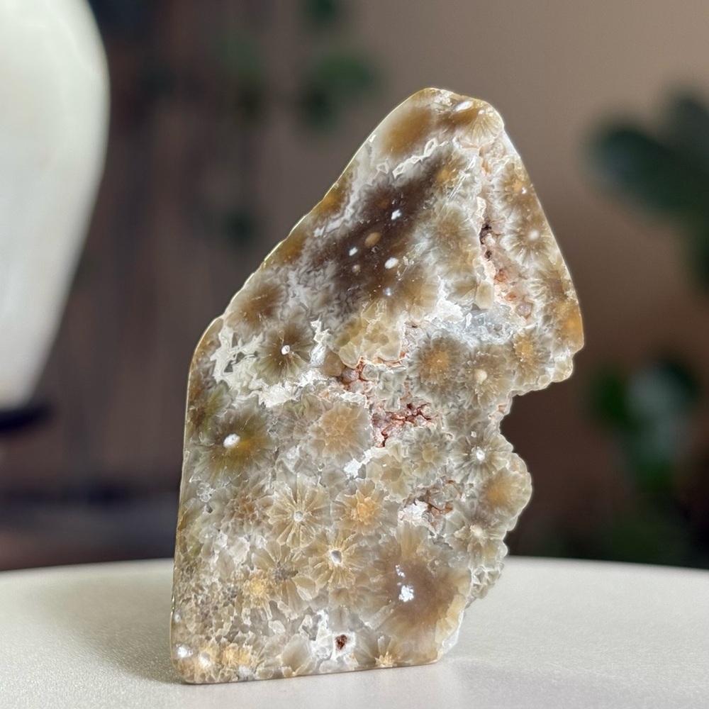 Ocean Jasper Crystal Small Freeform